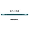 Pasternstraps Emerald- Logo