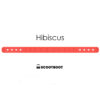 Pasternstraps Hibiscus- Logo