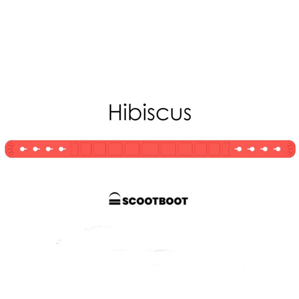Pasternstraps Hibiscus- Logo