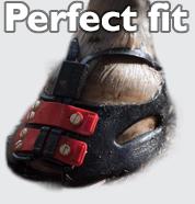 Scoot Boot_fangriemen1_web