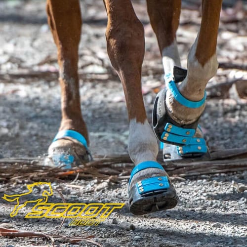 Scoot_Boots_blue mit logo_web