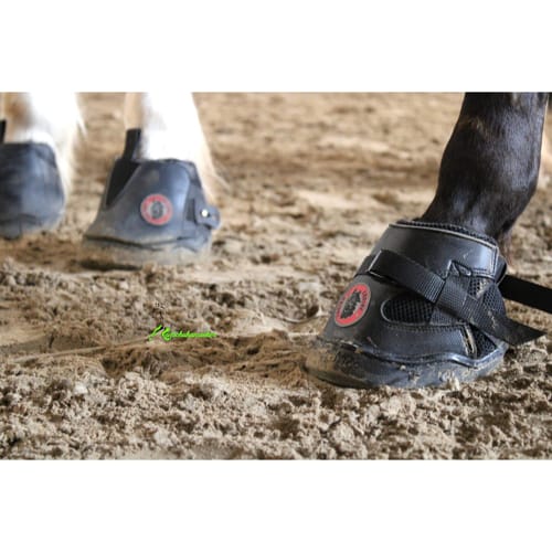 Equine Fusion-Active_UltraAllTerrain_web