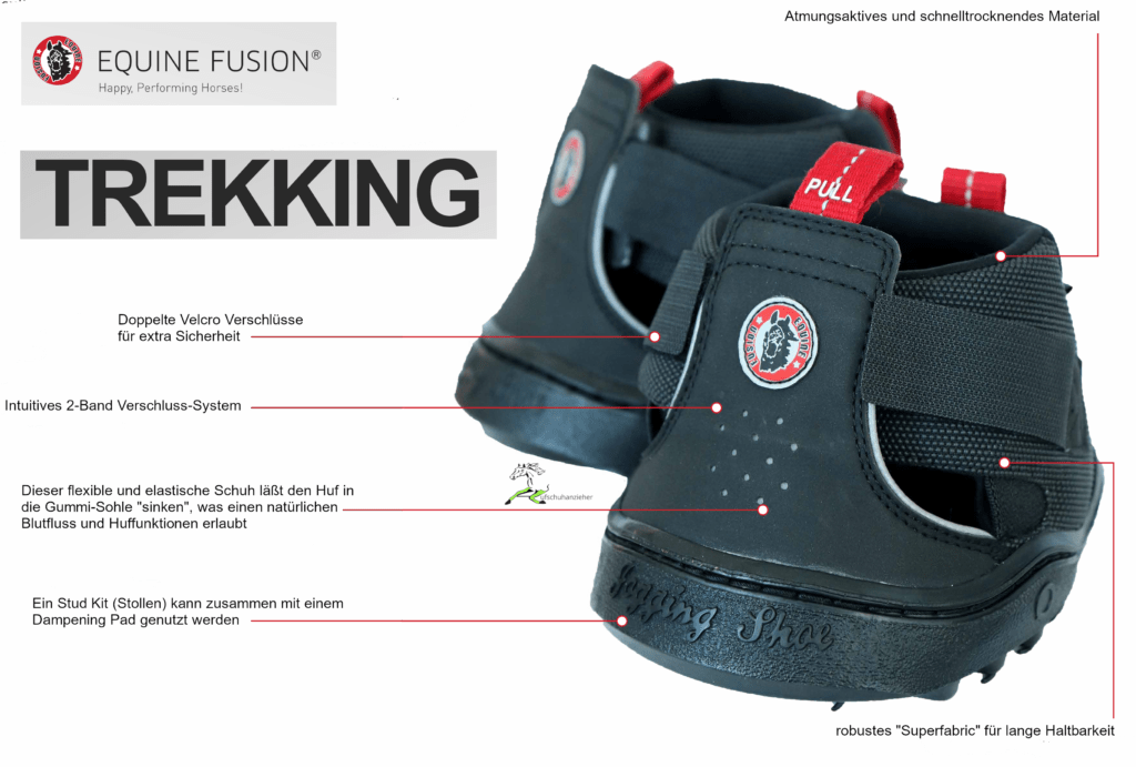 Equine Fusion Trekking 1