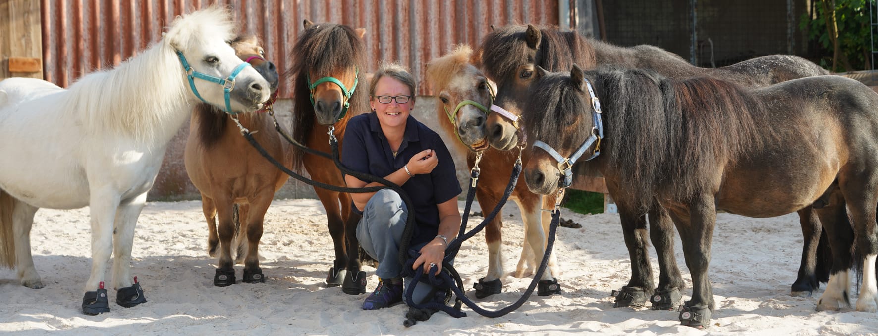 Michèle mit Shetties_web
