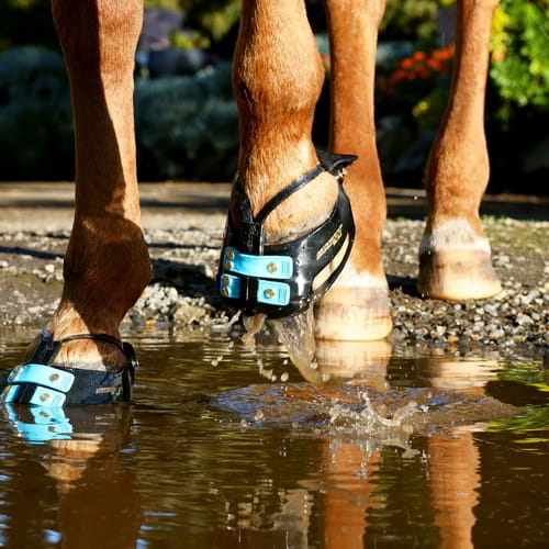 Scoot Boot_Mudstrap_blue Frontstraps4_web