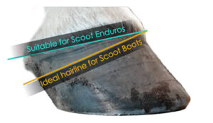 Enduro fit vs Scoot fit2_web