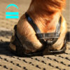 Scoot Boot Adjust_back3