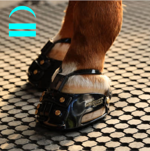 Scoot Boot Adjust_side1