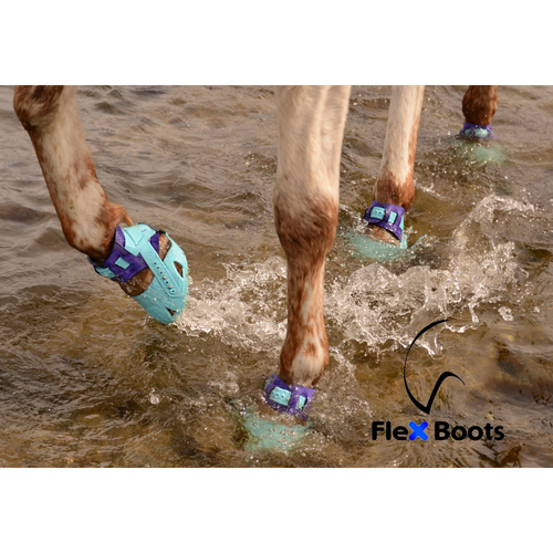 Flex Boot turquoise lifestyle image2b_web.JPG