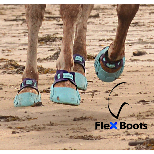 Flex Boot turquoise lifestyle image3b_web.JPG