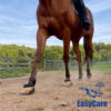 easyboot_trail_lifestyle2_web