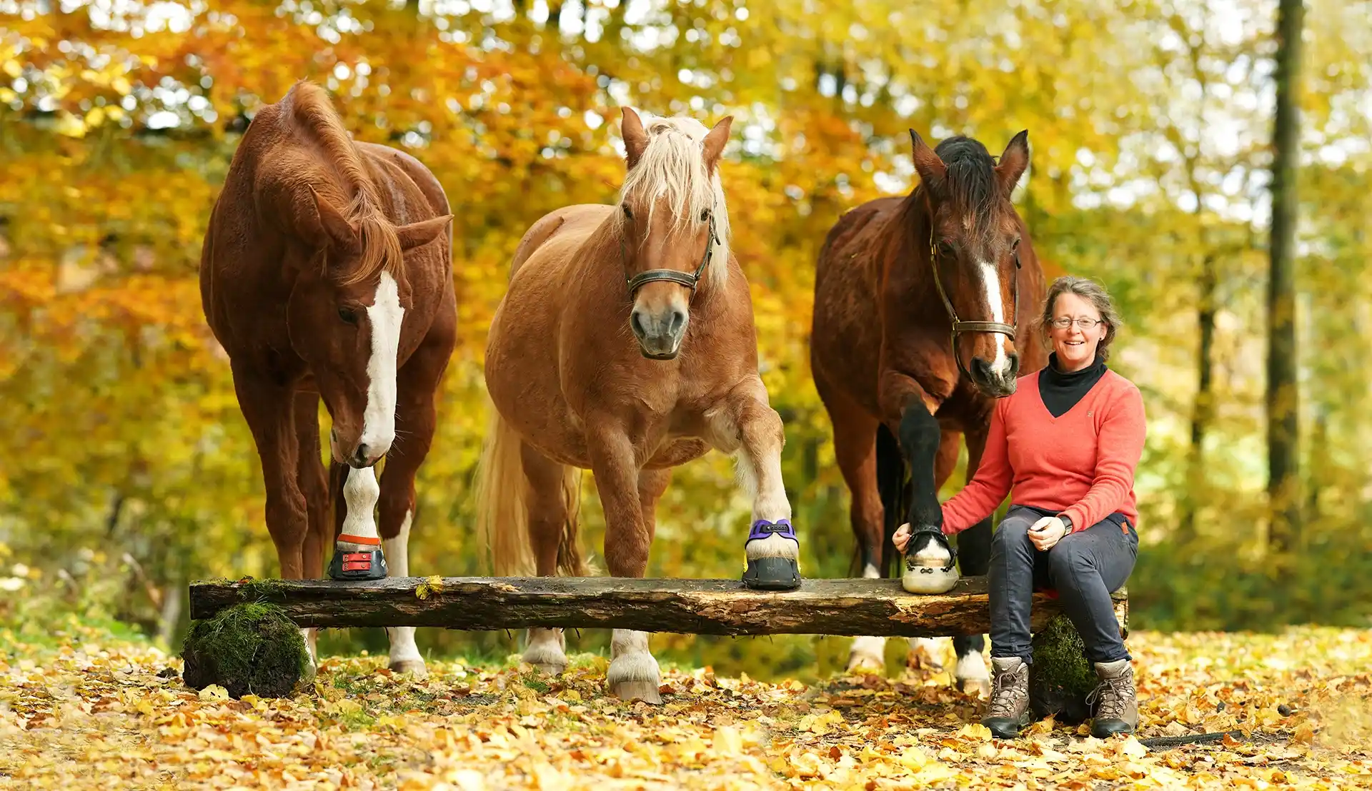 Hufschuhanzieher-Michele-Mesche-Herbst-Titel_11zon