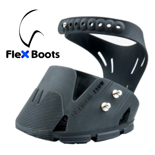 Flex basic_wide_2025