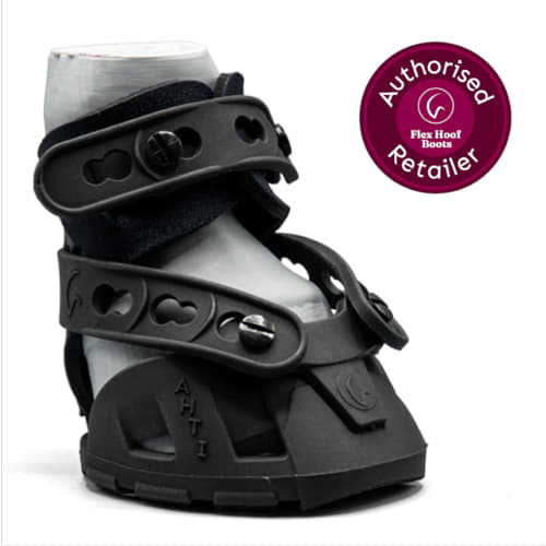 FlexMini Ahti Boots - 75 front elevation right._web