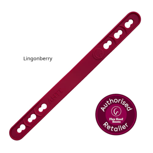 FlexMini Ahti Back Strap